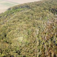 46.1 Acres in Holmes County MS - Horseshoe Brake images 4