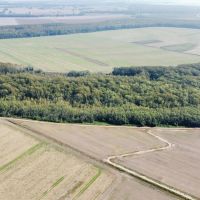46.1 Acres in Holmes County MS - Horseshoe Brake images 5