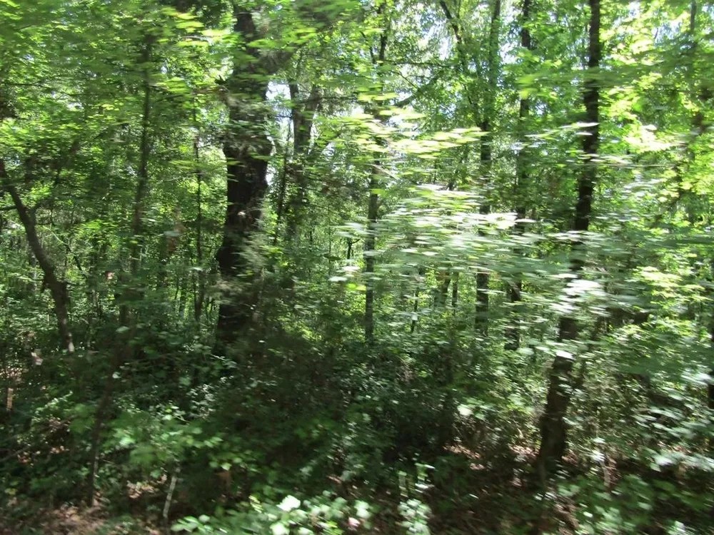 91 - acres of prime recreational land featured image