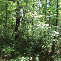 91 - acres of prime recreational land