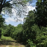 91 - acres of prime recreational land images 4