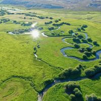 Harrower Ranch