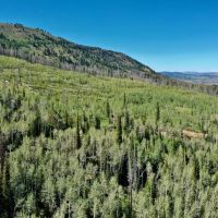 Harrower Ranch images 5