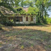 237.81 Acres in Holmes County MS images 4