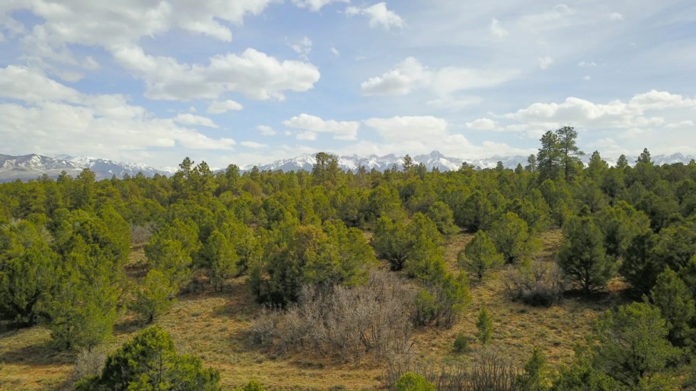 40 Acres in Ridgway Colorado NO HOA featured image