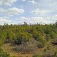 40 Acres in Ridgway Colorado NO HOA