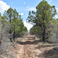 40 Acres in Ridgway Colorado NO HOA images 3