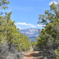 40 Acres in Ridgway Colorado NO HOA images 5