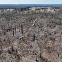Atoka 18 images 3