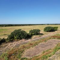 New Listing 59 - Ac TBD Private Rd 4145 Cross Plains