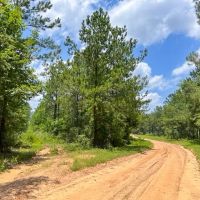 BACK ON MARKET 7.5 - Ac South CR 356 Jones images 5