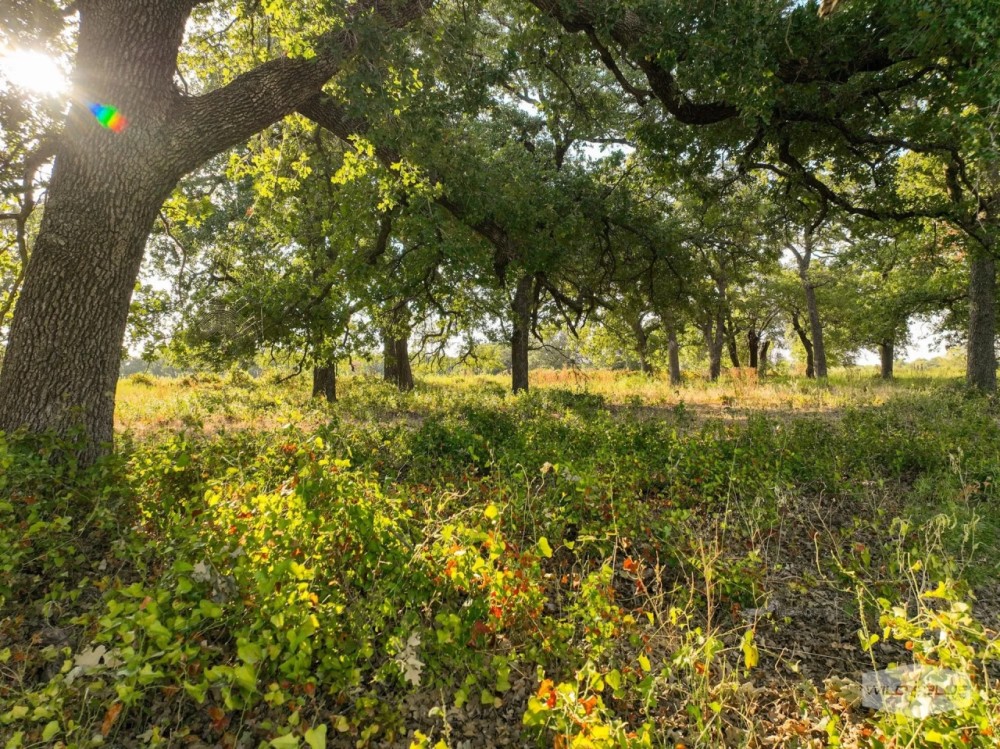 New Listing 72 - Acres Comanche County featured image