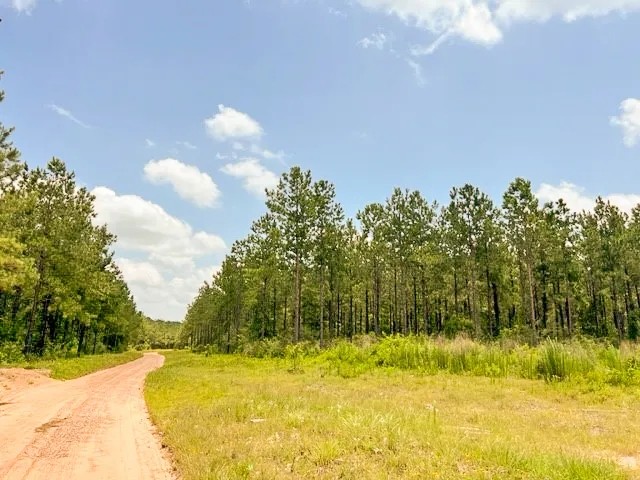 Kiamichi River Frontage Development Opportunity featured image
