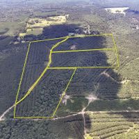 Kiamichi River Frontage Development Opportunity images 3