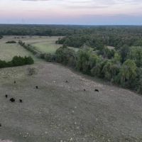 Cedar Lake 140 images 2
