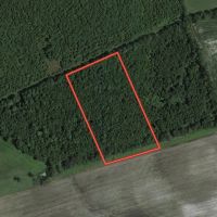 4.26 acres of Recreational Land and Possible Homestead For Sale in Duplin County NC