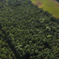 4.26 acres of Recreational Land and Possible Homestead For Sale in Duplin County NC images 2
