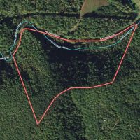 35.85 acres of Recreational and Hunting Land in the Blue Ridge Mountains For Sale in Patrick County VA