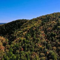 35.85 acres of Recreational and Hunting Land in the Blue Ridge Mountains For Sale in Patrick County VA images 2