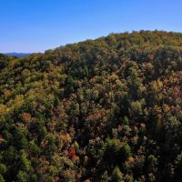35.85 acres of Recreational and Hunting Land in the Blue Ridge Mountains For Sale in Patrick County VA images 3