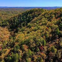 35.85 acres of Recreational and Hunting Land in the Blue Ridge Mountains For Sale in Patrick County VA images 4