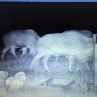 Land for sale in Smith Ranch - Lampasas images 3