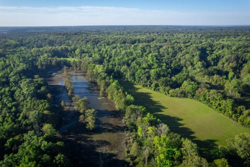 16 - Acres in Bunker MO featured image