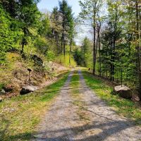 1784 Augur Hole Road - Marlboro images 3