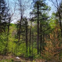 1784 Augur Hole Road - Marlboro images 4
