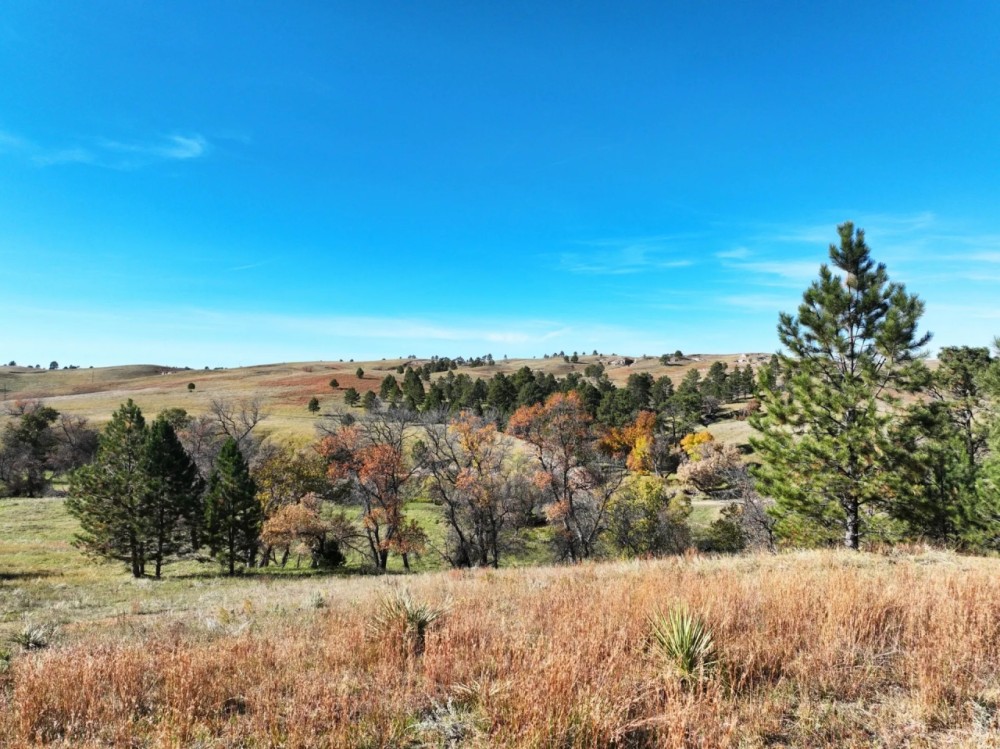 Pine Ridge Ranch and Recreational Haven featured image