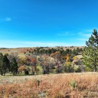 Pine Ridge Ranch and Recreational Haven