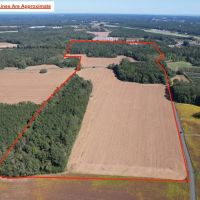 78.87 acres of Agricultural Hunting Recreational Residential and Timberland For Sale in Accomack County VA images 2