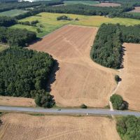 78.87 acres of Agricultural Hunting Recreational Residential and Timberland For Sale in Accomack County VA images 4
