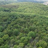 Secluded 20.87-Acre Pine Timber Retreat with US Forest Service Surroundings