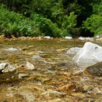 Piney Valley Estates-Tract 30 images 2