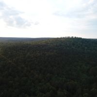 Piney Valley Estates-Tract 30 images 3