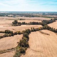 La Plata Farm Hunt 211