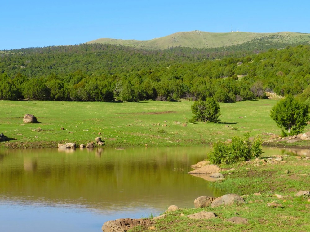 Off-Grid Retreat in Marlboro VT featured image