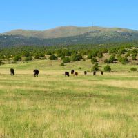 Off-Grid Retreat in Marlboro VT images 3