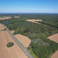16.812 acres of Agricultural Hunting Recreational Residential and Timberland For Sale in Accomack County VA images 5