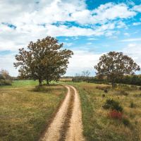 Deberry Ranch images 2