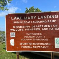 MS - Wilkinson 135 acres - images 4