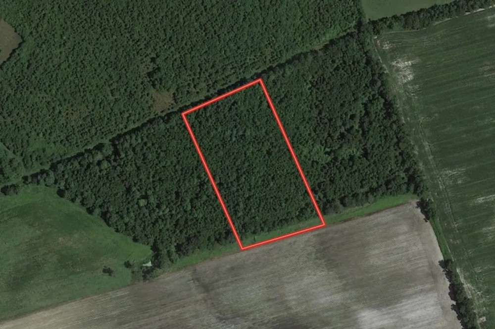 4.26 acres of Recreational Land and Possible Homestead For Sale in Duplin County NC featured image