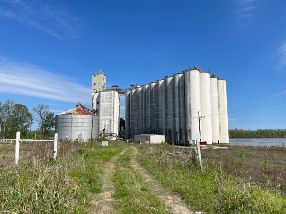 LA - Tensas 224 acres - featured image