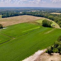 18.63 acres of Agricultural and Recreational Land For Sale in Craven County NC images 3