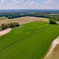 18.63 acres of Agricultural and Recreational Land For Sale in Craven County NC images 4