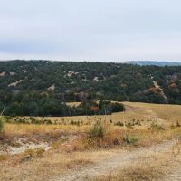 Box Elder Canyon Pasture images 2