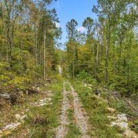 Multi-Use Land in McMinnville TN images 5