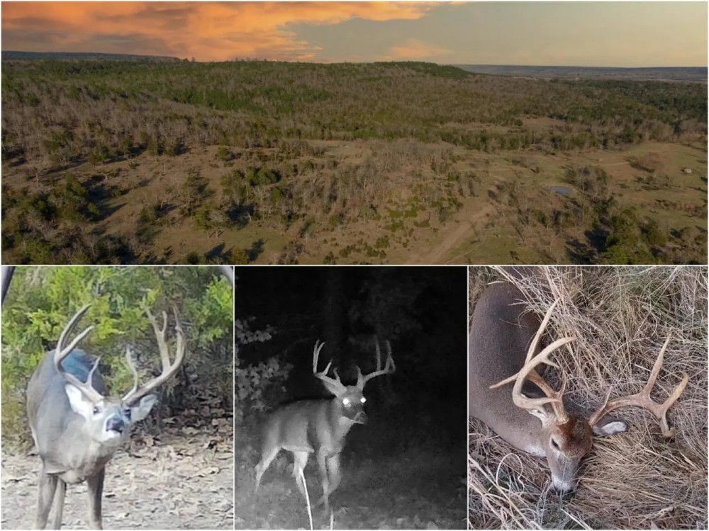 The Payne Ranch featured image