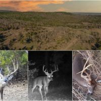 The Payne Ranch images 1